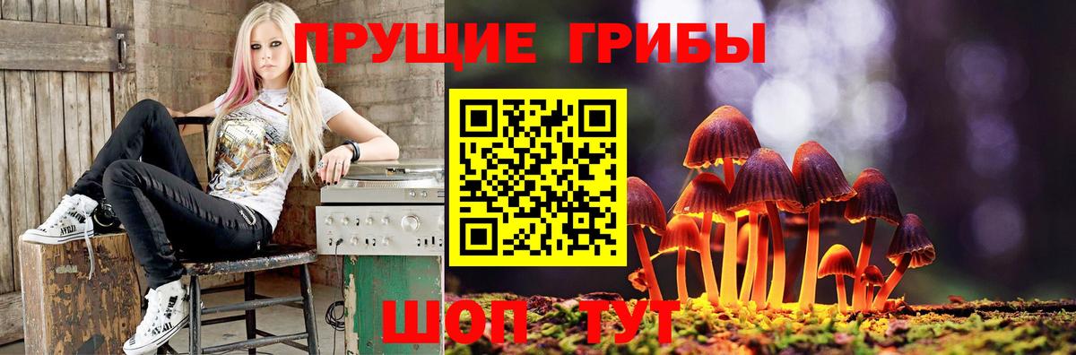 Асино  Галлюциногенные грибы мицелий  Вход с VPN  Псилоцибиновые грибы прущие грибы 